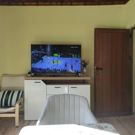 за гости вамсон Apartamento Velingrado