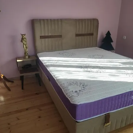 Apartamento за гости вамсон Velingrado